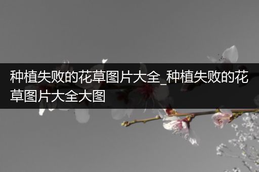 种植失败的花草图片大全_种植失败的花草图片大全大图