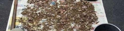 怎么自制磷钾肥？家庭自制磷钾肥的妙招